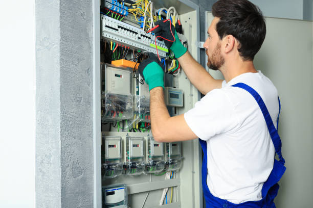 Best Electric Panel Repair  in Petersburg, WV